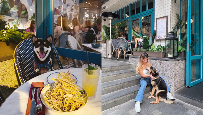 狗狗好去處、寵物友善餐廳、寵物cafe